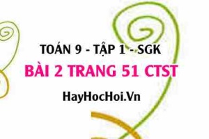 Bài 2 trang 51Toán 9 tập 1 Chân trời sáng tạo